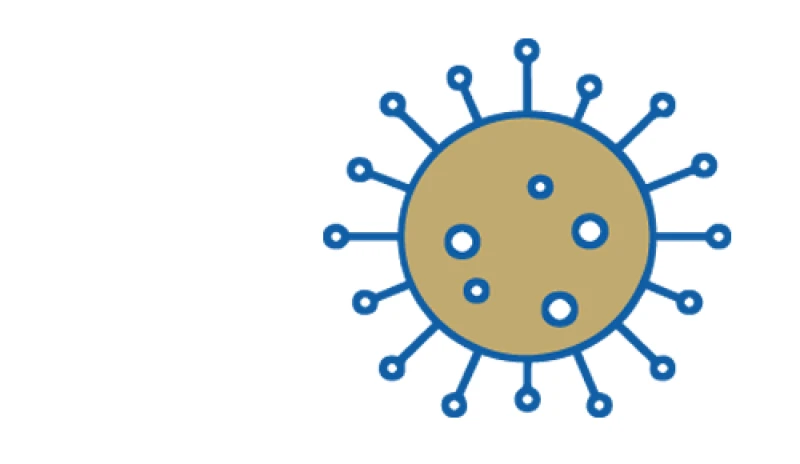 PiA-Coronavirus